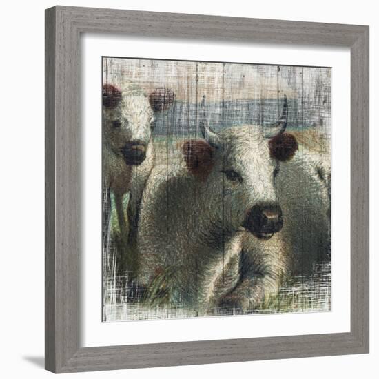 Cows on Vintage Wood-null-Framed Art Print