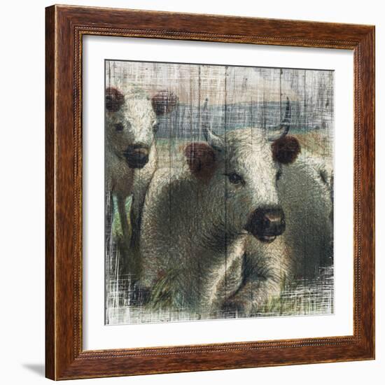 Cows on Vintage Wood-null-Framed Art Print