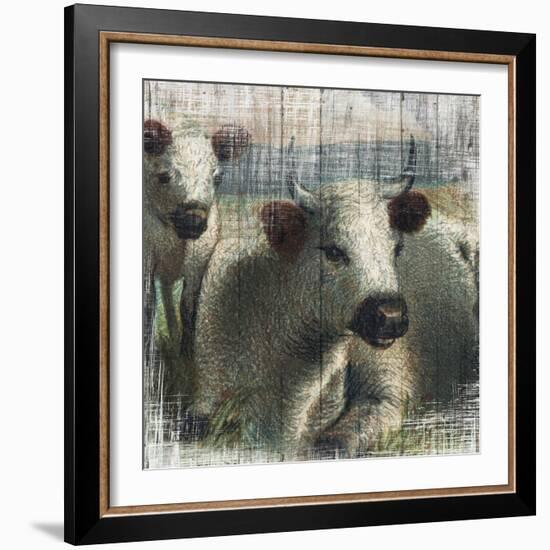 Cows on Vintage Wood-null-Framed Art Print