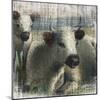 Cows on Vintage Wood-null-Mounted Art Print