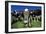 Cows-Jeremy Walker-Framed Photographic Print