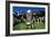 Cows-Jeremy Walker-Framed Photographic Print