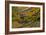 Cox Ford Covered Bridge over Sugar Creek in Parke County, Indiana-Chuck Haney-Framed Photographic Print