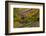 Cox Ford Covered Bridge over Sugar Creek in Parke County, Indiana-Chuck Haney-Framed Photographic Print