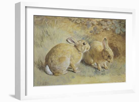 Coy Look-Frank Paton-Framed Giclee Print