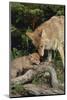 Coyote and Her Pup-DLILLC-Mounted Photographic Print