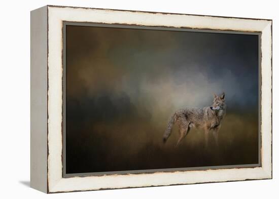 Coyote at Shiloh-Jai Johnson-Framed Premier Image Canvas