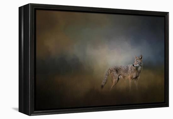 Coyote at Shiloh-Jai Johnson-Framed Premier Image Canvas