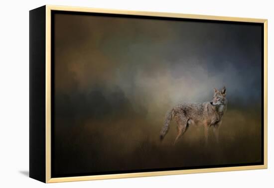 Coyote at Shiloh-Jai Johnson-Framed Premier Image Canvas