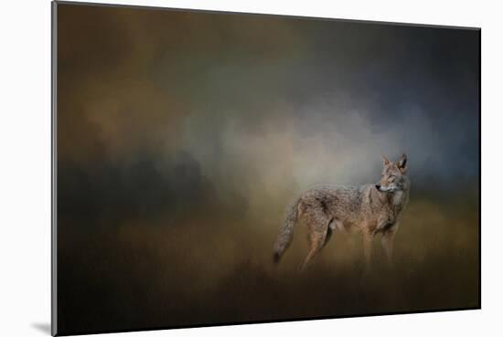 Coyote at Shiloh-Jai Johnson-Mounted Giclee Print