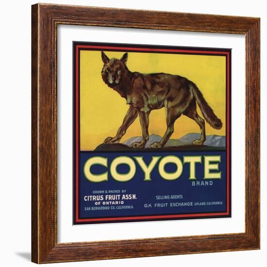 Coyote Brand - Upland, California - Citrus Crate Label-Lantern Press-Framed Art Print