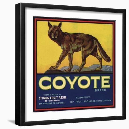 Coyote Brand - Upland, California - Citrus Crate Label-Lantern Press-Framed Art Print