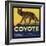 Coyote Brand - Upland, California - Citrus Crate Label-Lantern Press-Framed Art Print