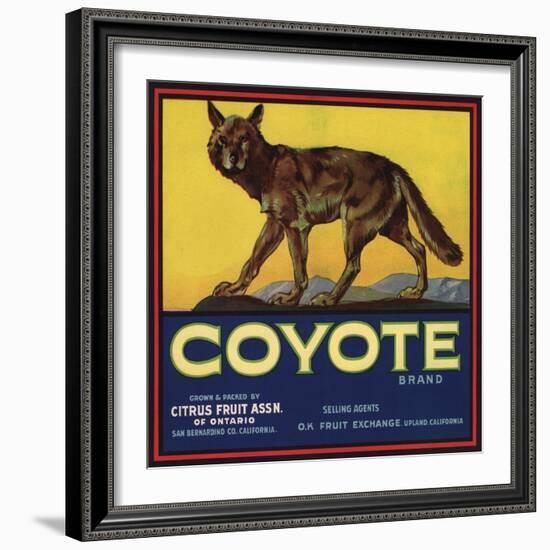 Coyote Brand - Upland, California - Citrus Crate Label-Lantern Press-Framed Premium Giclee Print