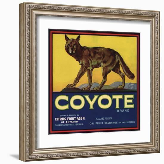 Coyote Brand - Upland, California - Citrus Crate Label-Lantern Press-Framed Art Print