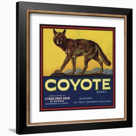 Coyote Brand - Upland, California - Citrus Crate Label-Lantern Press-Framed Art Print