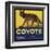 Coyote Brand - Upland, California - Citrus Crate Label-Lantern Press-Framed Art Print