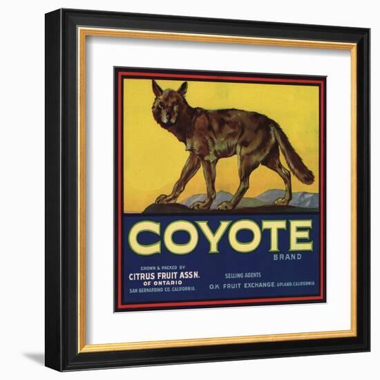 Coyote Brand - Upland, California - Citrus Crate Label-Lantern Press-Framed Art Print