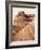 Coyote Buttes I Autumn-Alan Majchrowicz-Framed Photographic Print