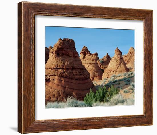 Coyote Buttes Paria Wilderness-null-Framed Art Print