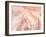 Coyote Buttes VII Blush Orange Crop-Alan Majchrowicz-Framed Art Print