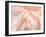 Coyote Buttes VII Blush Orange Crop-Alan Majchrowicz-Framed Art Print