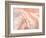 Coyote Buttes VII Blush Orange Crop-Alan Majchrowicz-Framed Premium Giclee Print