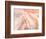 Coyote Buttes VII Blush Orange Crop-Alan Majchrowicz-Framed Premium Giclee Print