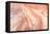 Coyote Buttes VII Blush-Alan Majchrowicz-Framed Premier Image Canvas