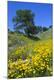 Premium Photographic Print