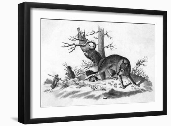 Coyote Caught-null-Framed Art Print