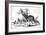 Coyote Caught-null-Framed Premium Giclee Print