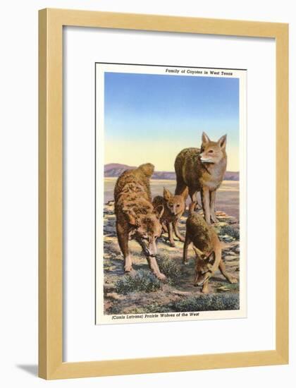 Coyote Family-null-Framed Art Print