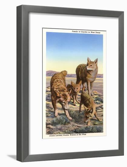 Coyote Family-null-Framed Art Print