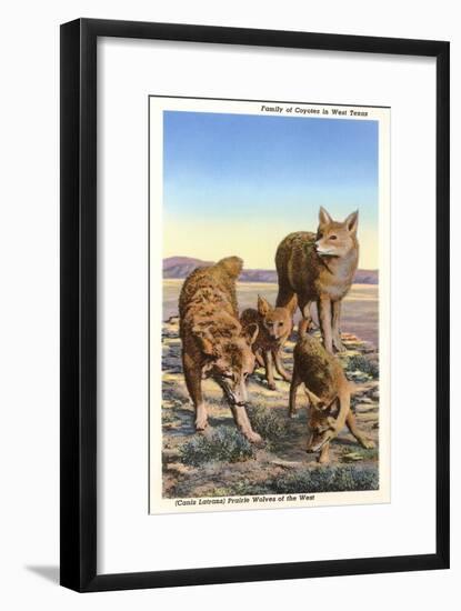 Coyote Family-null-Framed Art Print