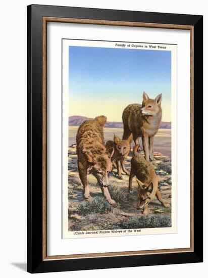 Coyote Family-null-Framed Art Print