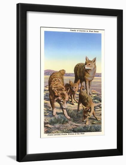 Coyote Family-null-Framed Art Print