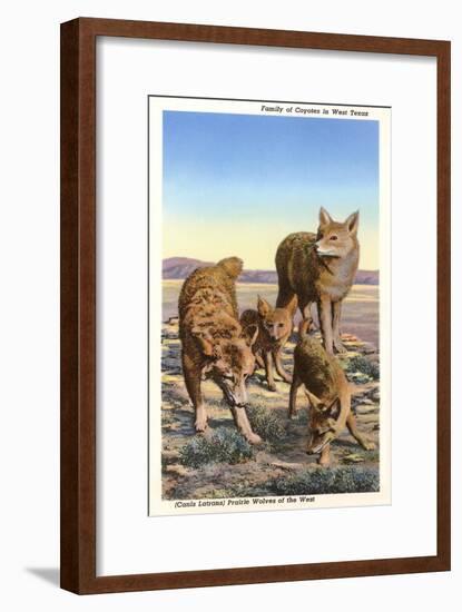 Coyote Family-null-Framed Art Print