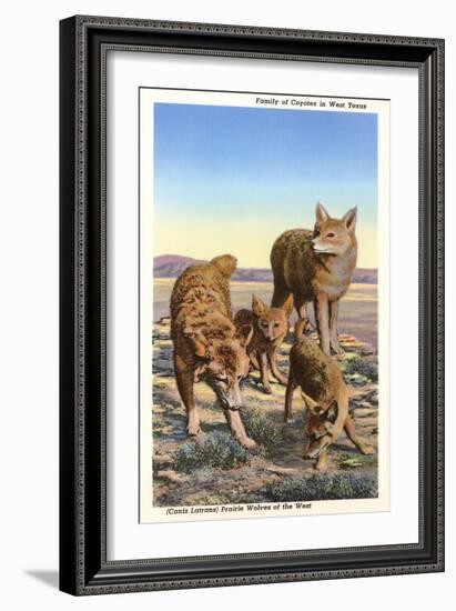 Coyote Family-null-Framed Art Print