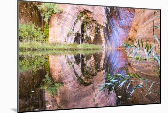 Coyote Gulch Utah Part Of The Glen Canyon National Recreation Area-Liam Doran-Mounted Photographic Print