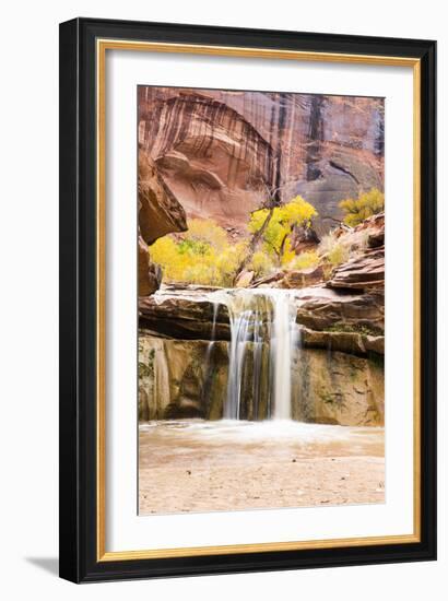 Coyote Gulch Utah Part Of The Glen Canyon National Recreation Area-Liam Doran-Framed Photographic Print