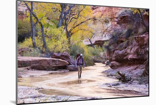 Coyote Gulch Utah Part Of The Glen Canyon National Recreation Area-Liam Doran-Mounted Photographic Print