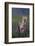Coyote in Field with Wildflowers-DLILLC-Framed Photographic Print