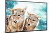 Coyote Pair & Blue Winter Sky-null-Mounted Art Print