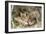 Coyote Young Wild Pups Playing Near their Den-null-Framed Photographic Print