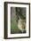 Coyote-DLILLC-Framed Photographic Print