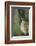 Coyote-DLILLC-Framed Photographic Print