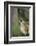 Coyote-DLILLC-Framed Photographic Print