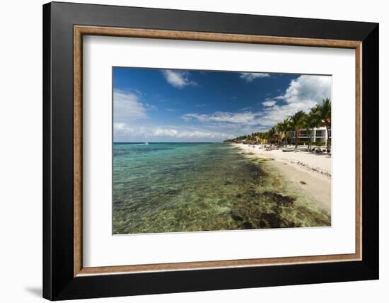 Cozumel Island, Mexico-Sergio Pitamitz-Framed Photographic Print