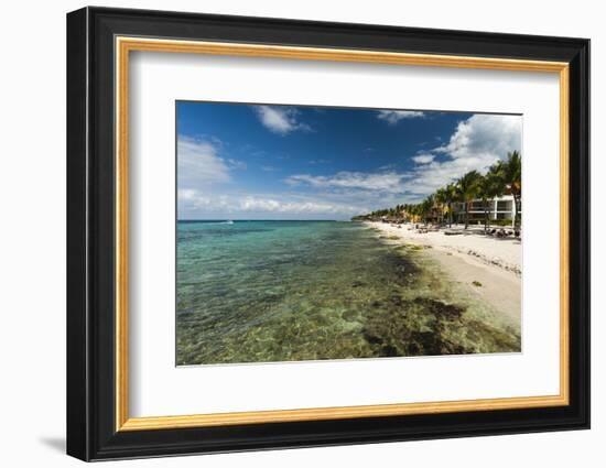 Cozumel Island, Mexico-Sergio Pitamitz-Framed Photographic Print